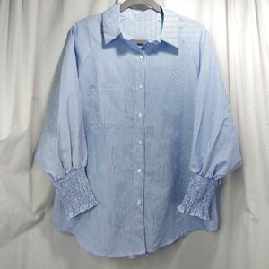 TEMU PLUS Micro Stripe Long Sleeve Top Blue White Wms‎ 2XL Smock Cuff NEW